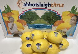 NPG Lemons compostable stickers 3