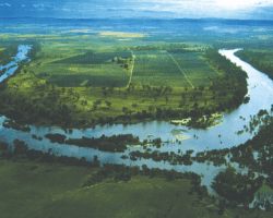 Abbotsleigh Farm from above