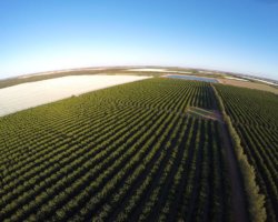 Sunraysia from above 1