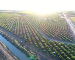 Sunrise at Keenan Orchard